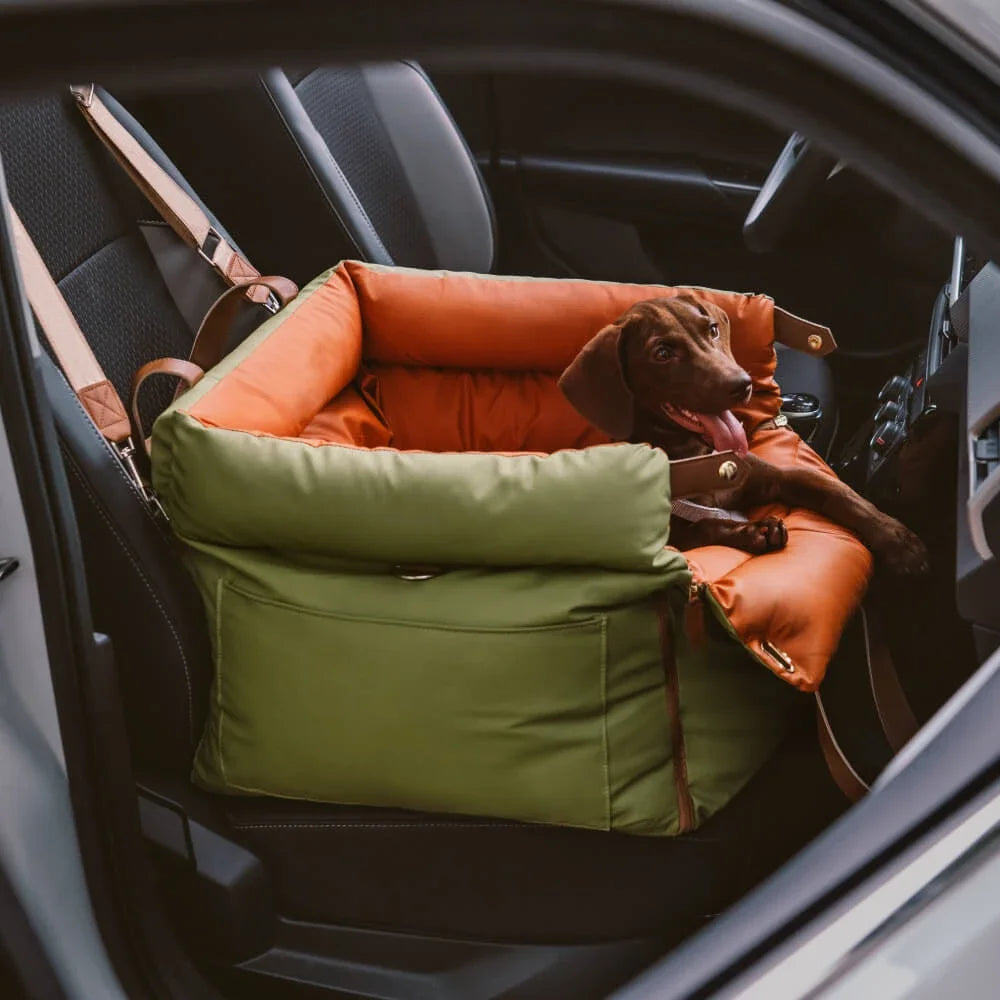 2-in-1 Hunde Autositz & Tragetasche