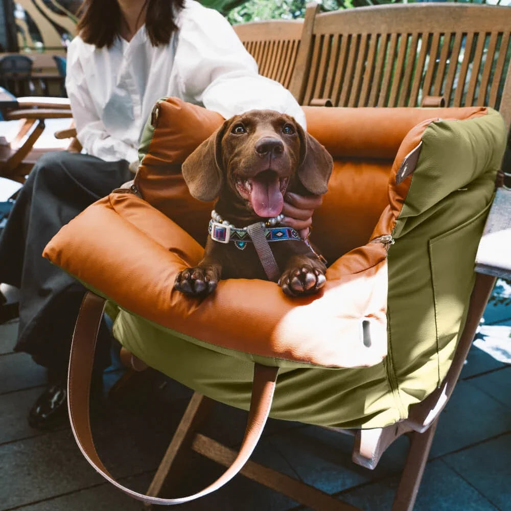 2-in-1 Hunde Autositz & Tragetasche