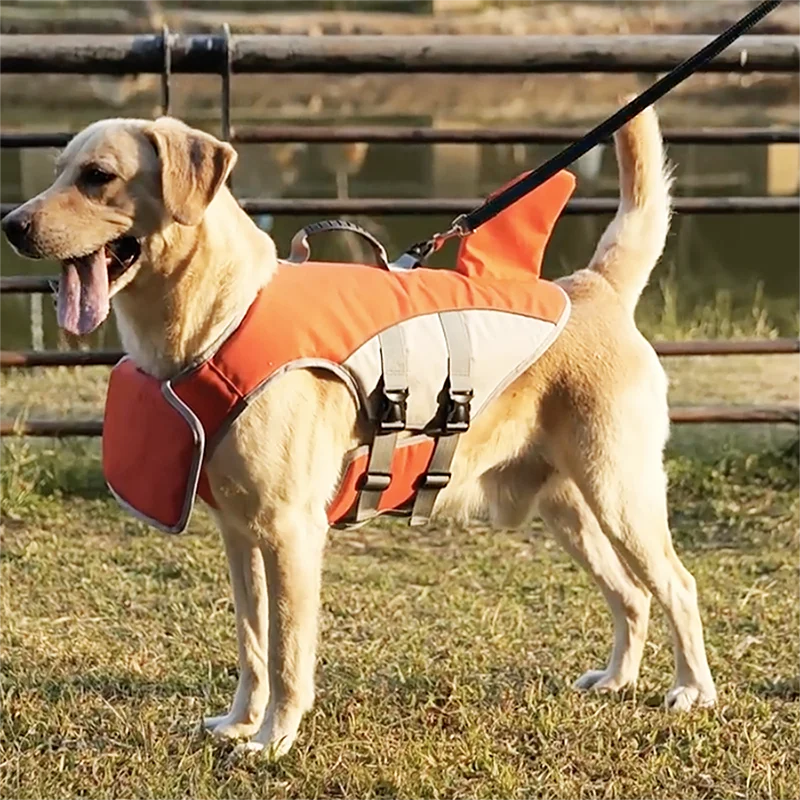 Hunde Schwimmweste Premium