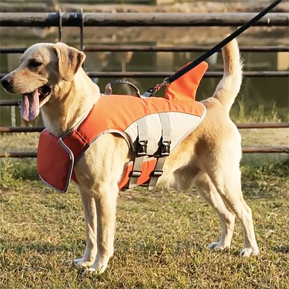 Hunde Schwimmweste Premium