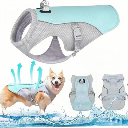 Hundekühlweste Premium
