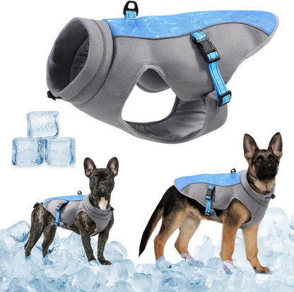 Hundekühlweste Premium
