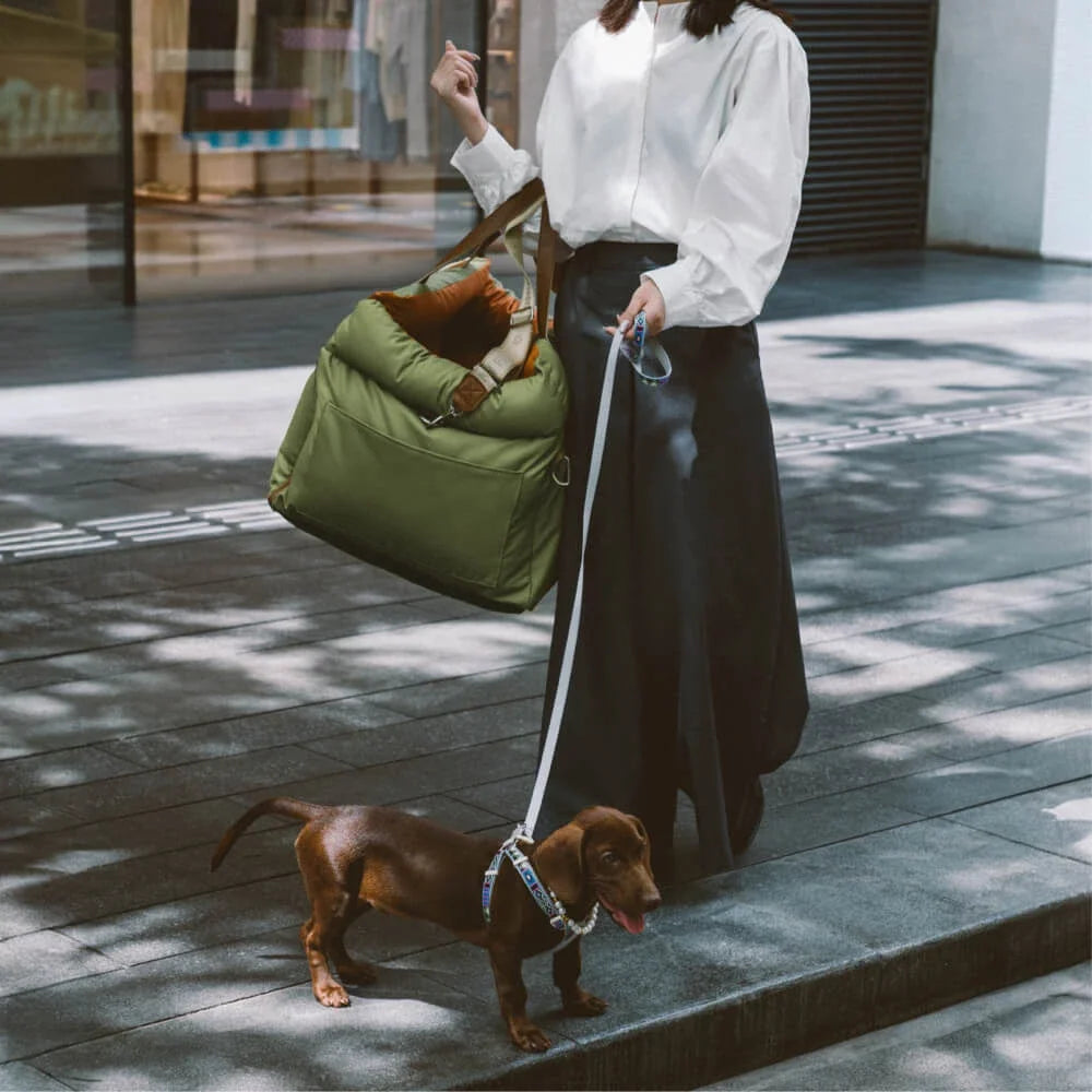 2-in-1 Hunde Autositz & Tragetasche