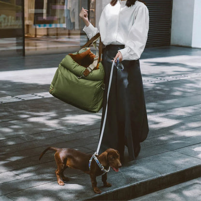 2-in-1 Hunde Autositz & Tragetasche